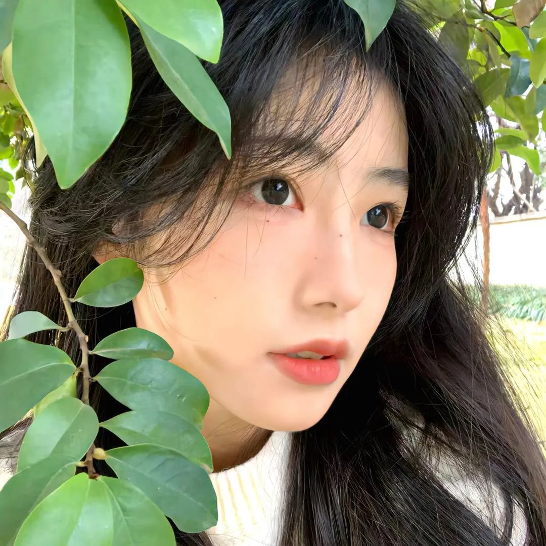 霹雳修女